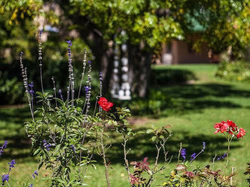 Chartwell Castle & Guest House Экстерьер фото